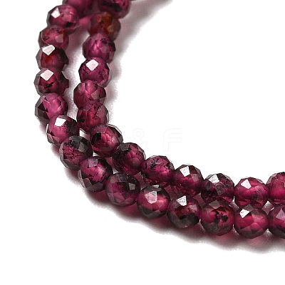 Natural Garnet Beads Strands X-G-I341-09A-1