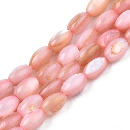 Freshwater Shell Beads Strands SHEL-T009-B15-02-1