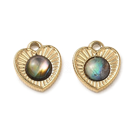 Natural Paua Shell Pendants STAS-G397-17G-02-1
