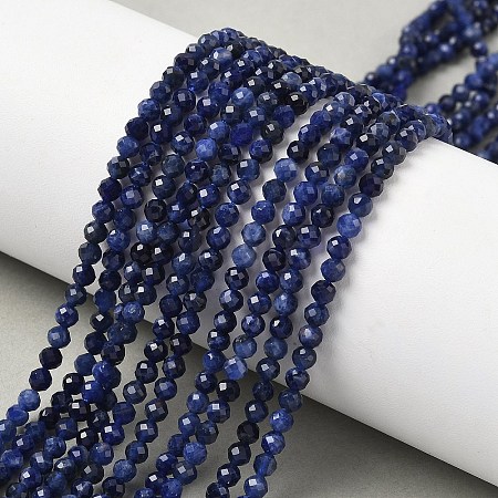 Natural Sodalite Beads Strands G-L622-C04-3mm-1