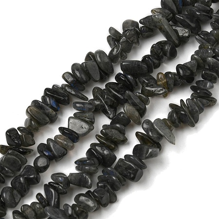 Natural Labradorite Chip Bead Strands G-M205-57A-1