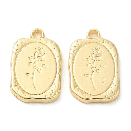 Alloy Pendants PALLOY-P303-22G-1