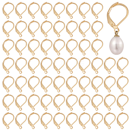 120Pcs 304 Stainless Steel Leverback Earring Findings STAS-ME0001-05-1