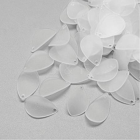 Transparent Acrylic Pendants FACR-S028-SB518-1