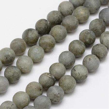 Natural Labradorite Frosted Bead Strands G-O155-04A-4mm-1