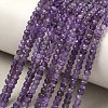 Natural Amethyst Bead Strands G-P279-74-4mm-01-1