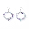 Natural Fluorite Dangle Earrings EJEW-E255-D04-2