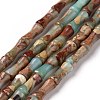 Natural Aqua Terra Jasper Beads Strands G-C245-11-1