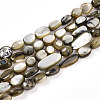 Natural White Shell Beads Strands SHEL-N036-21A-1
