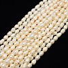 Natural Cultured Freshwater Pearl Beads Strands PEAR-L001-E-20-1