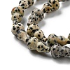 Natural Dalmatian Jasper Beads Strands G-C039-A05-4
