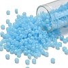 TOHO 6/0 Round Beads SEED-TR06-1143-1