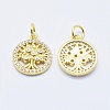 Brass Micro Pave Clear Cubic Zirconia Charms ZIRC-J040-10G-NR-2