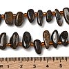 Natural Bronzite Beads Strands G-Z130-A02-01-5