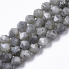 Natural Labradorite Beads Strands G-R465-33B-1