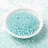 MIYUKI Round Rocailles Beads X-SEED-G008-RR3638-2