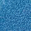 MIYUKI Round Rocailles Beads SEED-X0055-RR0573-3