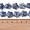 Natural Blue Spot Jasper Beads Strands G-K359-E11-3