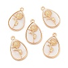 Natural Freshwater Shell Flower Pendants BSHE-Z003-36KCG-1