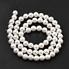 Electroplated Shell Pearl Beads Strands BSHE-K017-6mm-2