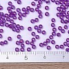 MIYUKI Round Rocailles Beads X-SEED-G007-RR1340-4