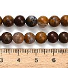 Natural Wealth Stone Beads Strands G-C289-B01-6mm-5