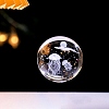 Inner Carving Glass Crystal Ball Diaplay Decoration PW-WGD9143-16-1