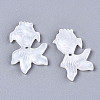 Resin Pendants LS-CRES-R195-04A-2