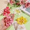 PVC Alligator Hair Clips PHAR-WH0011-18-3