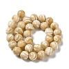 Natural Trochus Shell Beads Strands SHEL-K006-18C-2