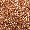 Glass Seed Beads SEED-S042-04B-17-3