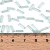 Glass Bugle Beads SEED-N007-28F-4