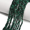 Natural Malachite Beads Strands X-G-C262-A02-3mm-2