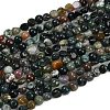 Natural Indian Agate Beads Strands G-Q060-E08-01-2