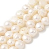 Natural Cultured Freshwater Pearl Beads Strands PEAR-A006-10B-1