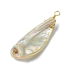 Electroplated Natural Freshwater Shell Pendants PALLOY-JF03336-4