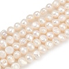 Natural Cultured Freshwater Pearl Beads Strands PEAR-P064-20B-05A-2