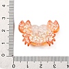 Marine Organism Theme Resin Cabochons RESI-Q010-01A-3