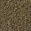 MIYUKI Delica Beads SEED-MY11-DB0288-3