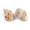 Natural Spiral Shell Beads SHEL-K009-17D-2