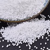 MIYUKI Delica Beads SEED-JP0008-DB0200-1