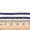 Natural Sodalite Beads Strands X-G-L622-C04-3mm-5