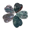 Natural Moss Agate Display Decorations G-PW0004-30-3