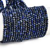 Natural Lapis Lazuli Beads Strands G-Z035-A01-02A-1