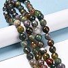 Natural Indian Agate Beads Strands G-E571-24C-2