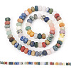 1 Strand Natural Mixed Stone Beads Strands G-TA0002-81A-1