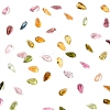 Faceted Natural Multicolor Tourmaline Cabochons G-I295-05C-15A-01-2