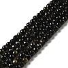 Natural Golden Sheen Obsidian Beads Strands G-P476-01A-04-1