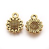 Tibetan Style Alloy Charms GLF10257Y-2