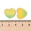 Imitation Candy Food Style Resin Cabochons RESI-R461-01K-3